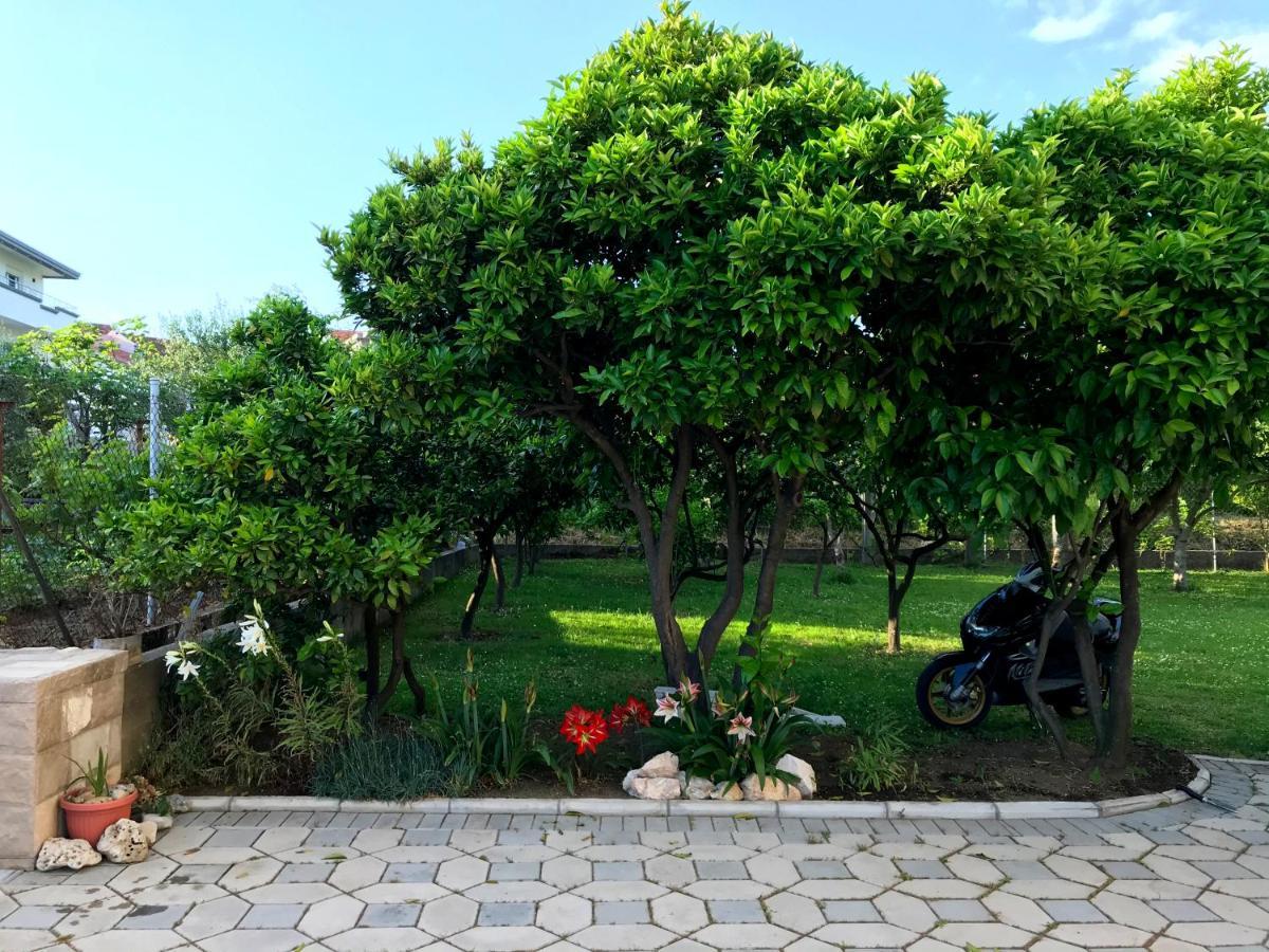 Apartments Kraja Ulcinj Exteriör bild